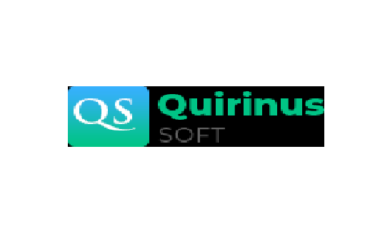 Quirinus Solutions Ltd-SEO Company